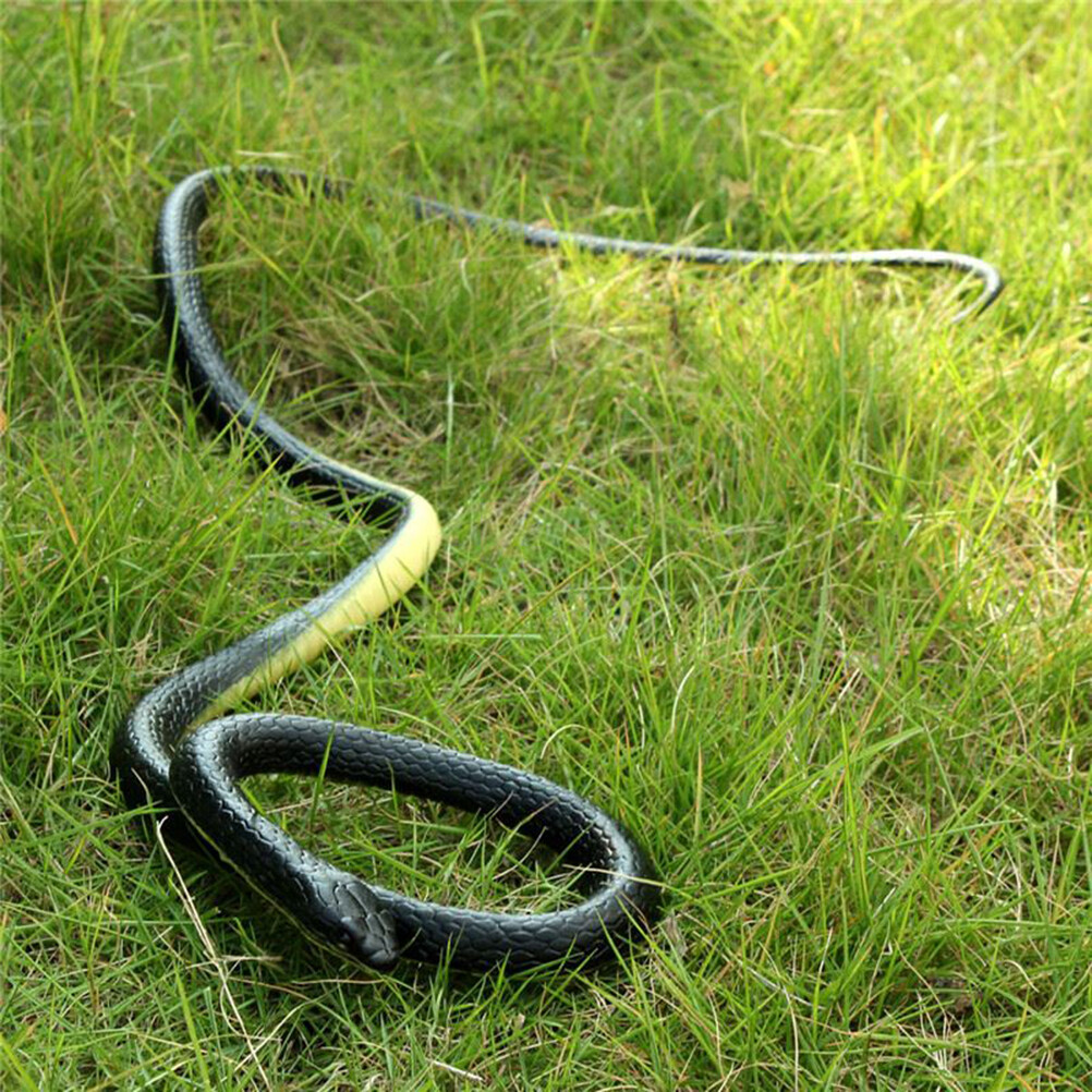 toy snakes that look real