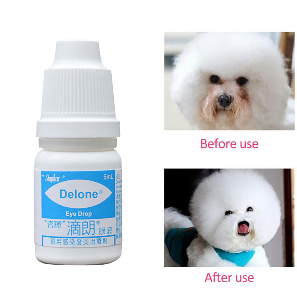 dog conjunctivitis drops