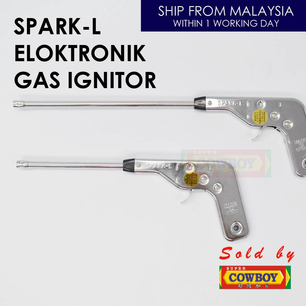 electronic gas igniter