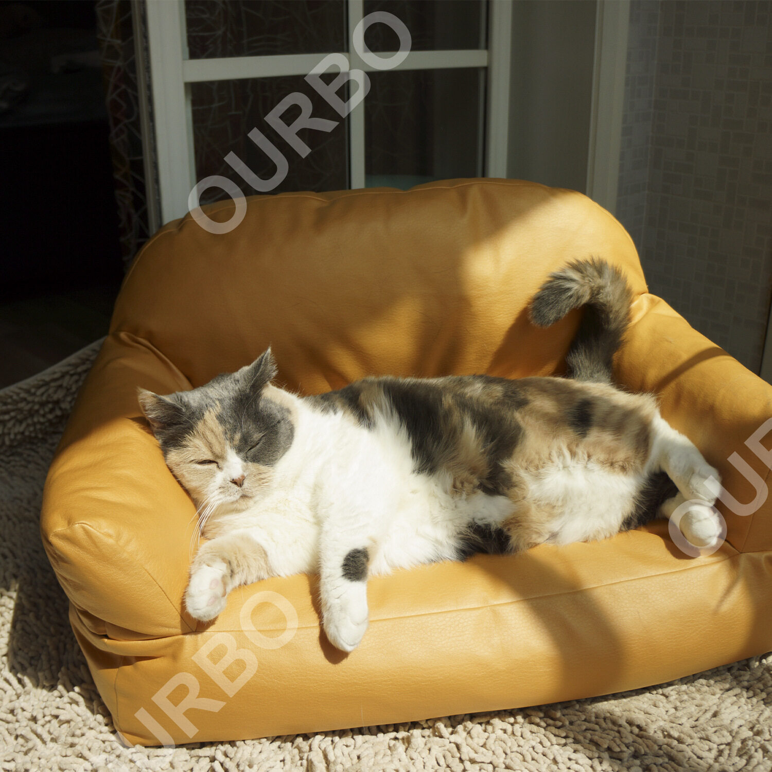 New Pet Sofa Bed, Dog Sofa, Cat Sofa, Pet Leisure Sofa Nest, Dog Sofa