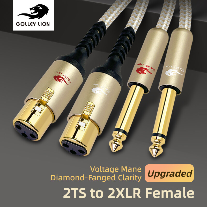 GOLLEY LION 2XLR Female to 2TS Cable, 1/4 inch (6.35mm) to XLR Female Adapter Cable, Quarter Inch to Microphone Cable for Amplifier, Mixer Harga  177 Ringgit*Penghantaran Percuma