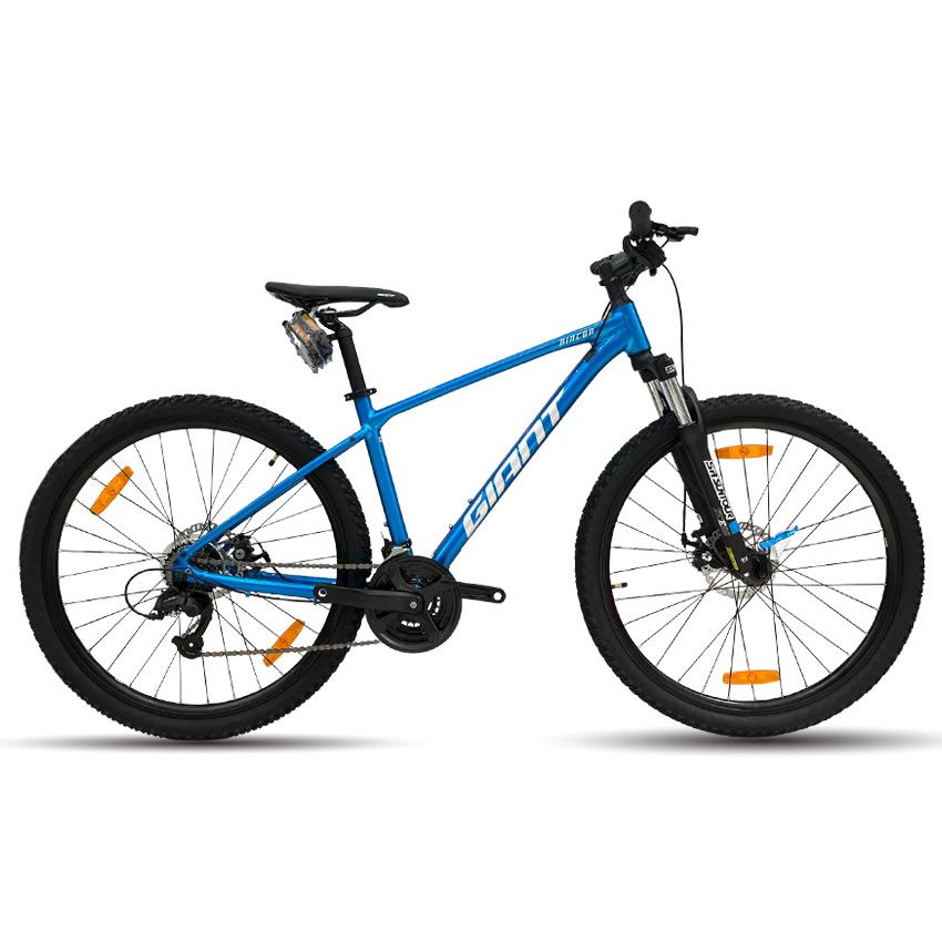 electric bicycle fold up Rilu Foldable E-Bike Back Panel:With luggage Slip colour-Mediterranean 150KG 1 31 Velomini ideas |