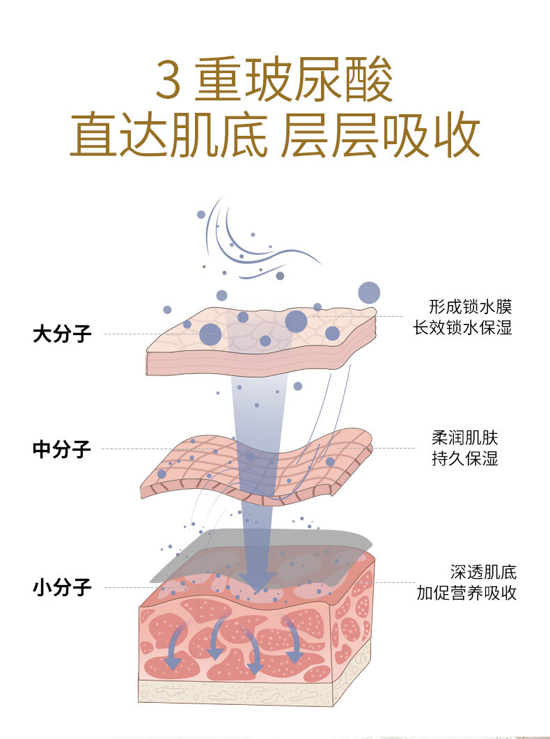 lucenbase b5 hyaluronic acid