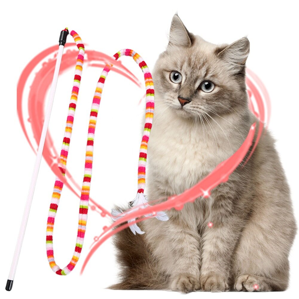 cat dancer products rainbow cat charmer