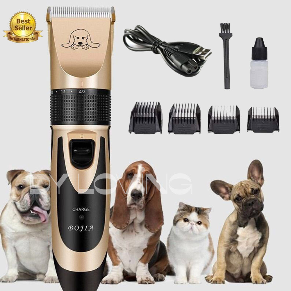 Why Do Groomers Shave Basset Hound