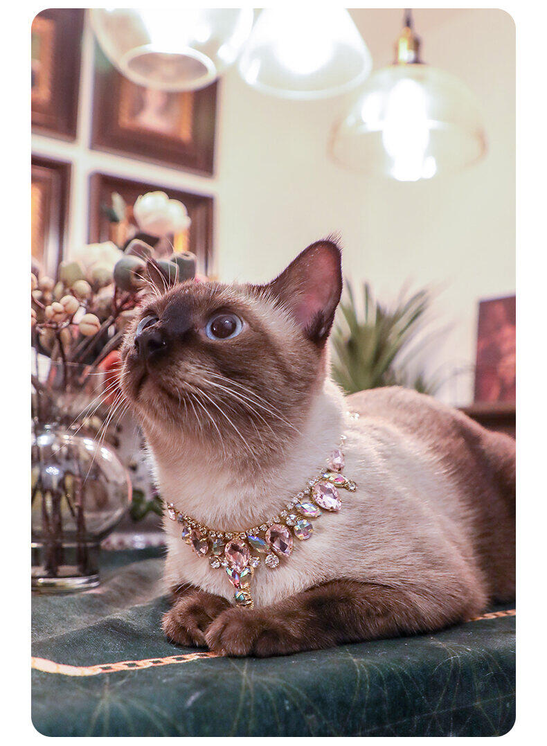 vòng cổ trang sức cho mèo arkika vòng cổ ngọc trai kim cương trang sức 12