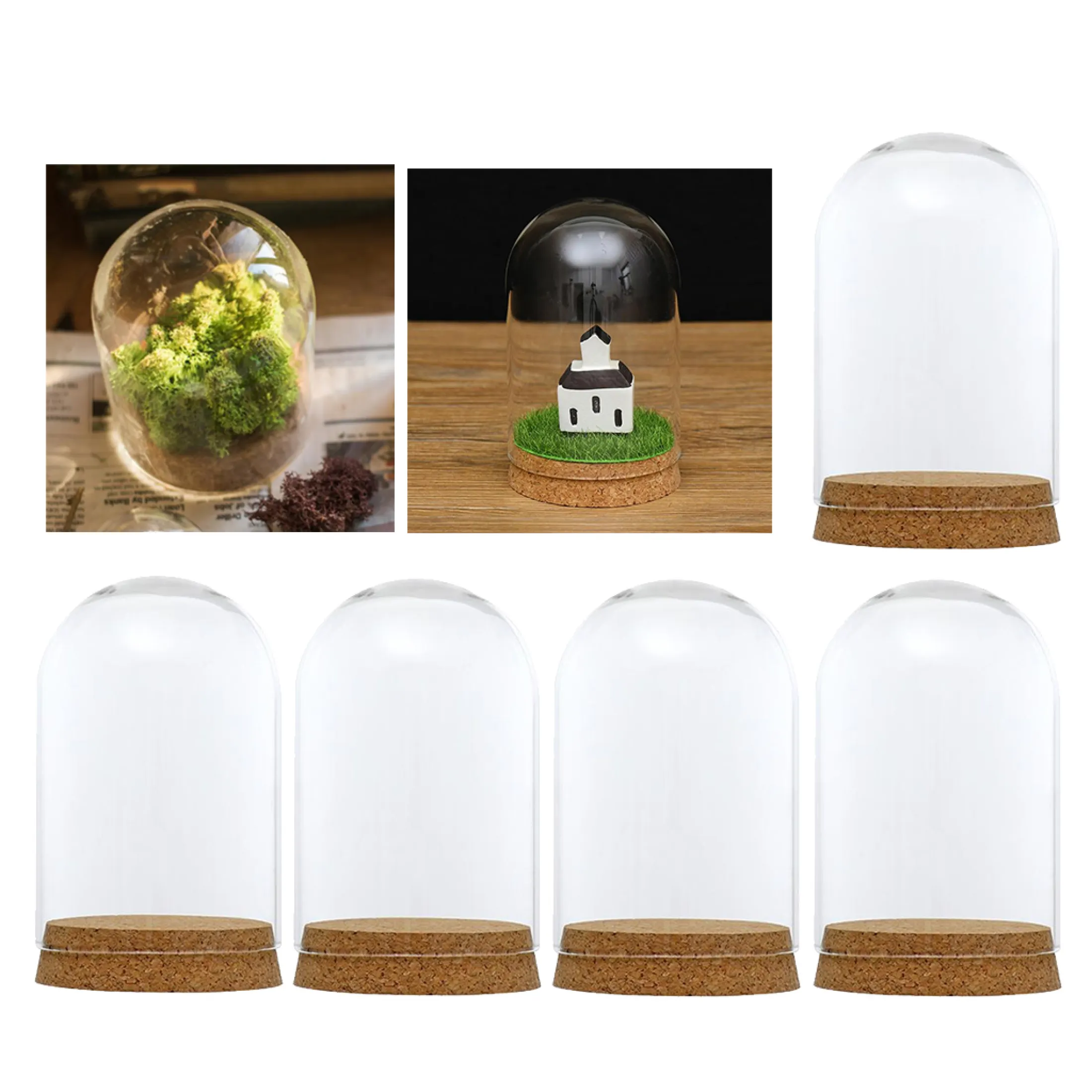 Blesiya Glass Cover Landscape Vase Terrarium Container Flower Holder Dome