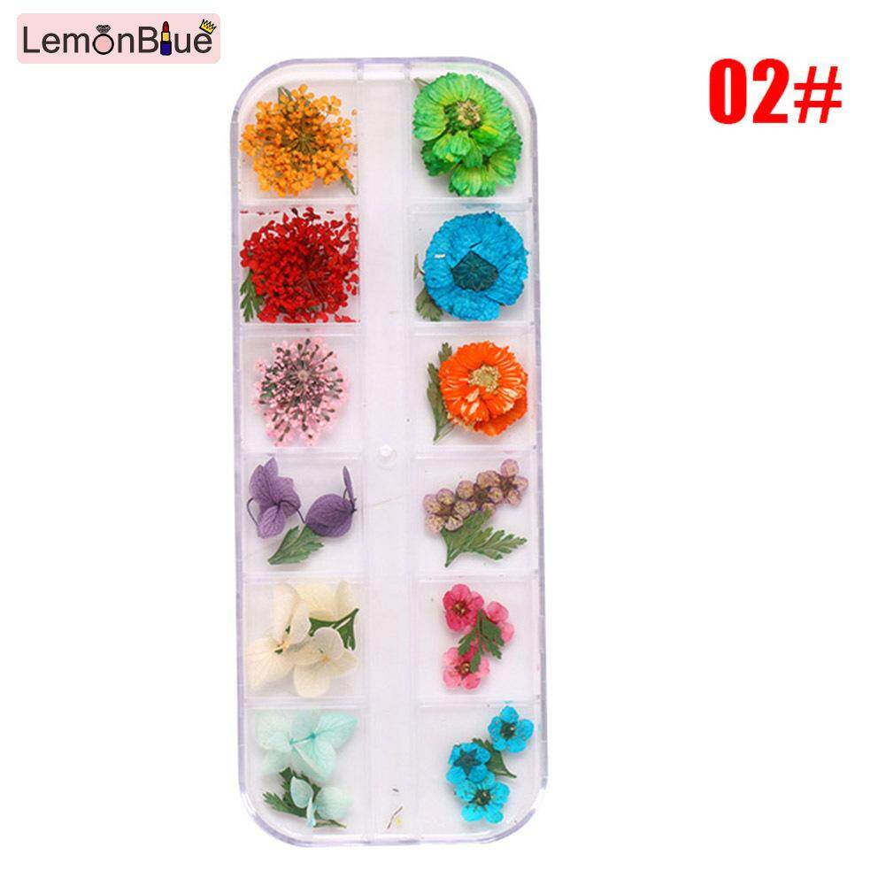 Gambar LemonBlue Real Dried Flowers 3D Nail Art Decor Design DIY Tips Manicure 12 Colors Fashion