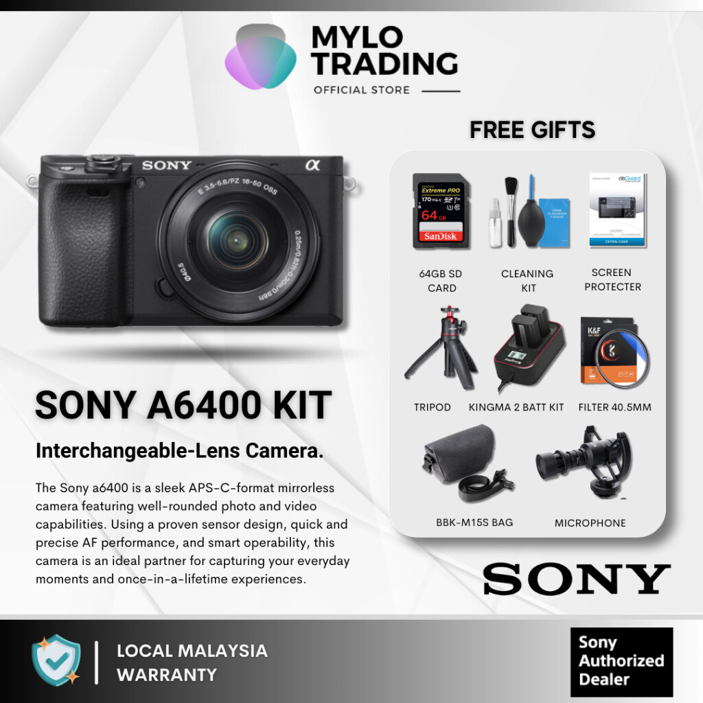 sony dx400 camera