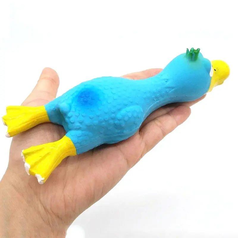 blue rubber chicken dog toy