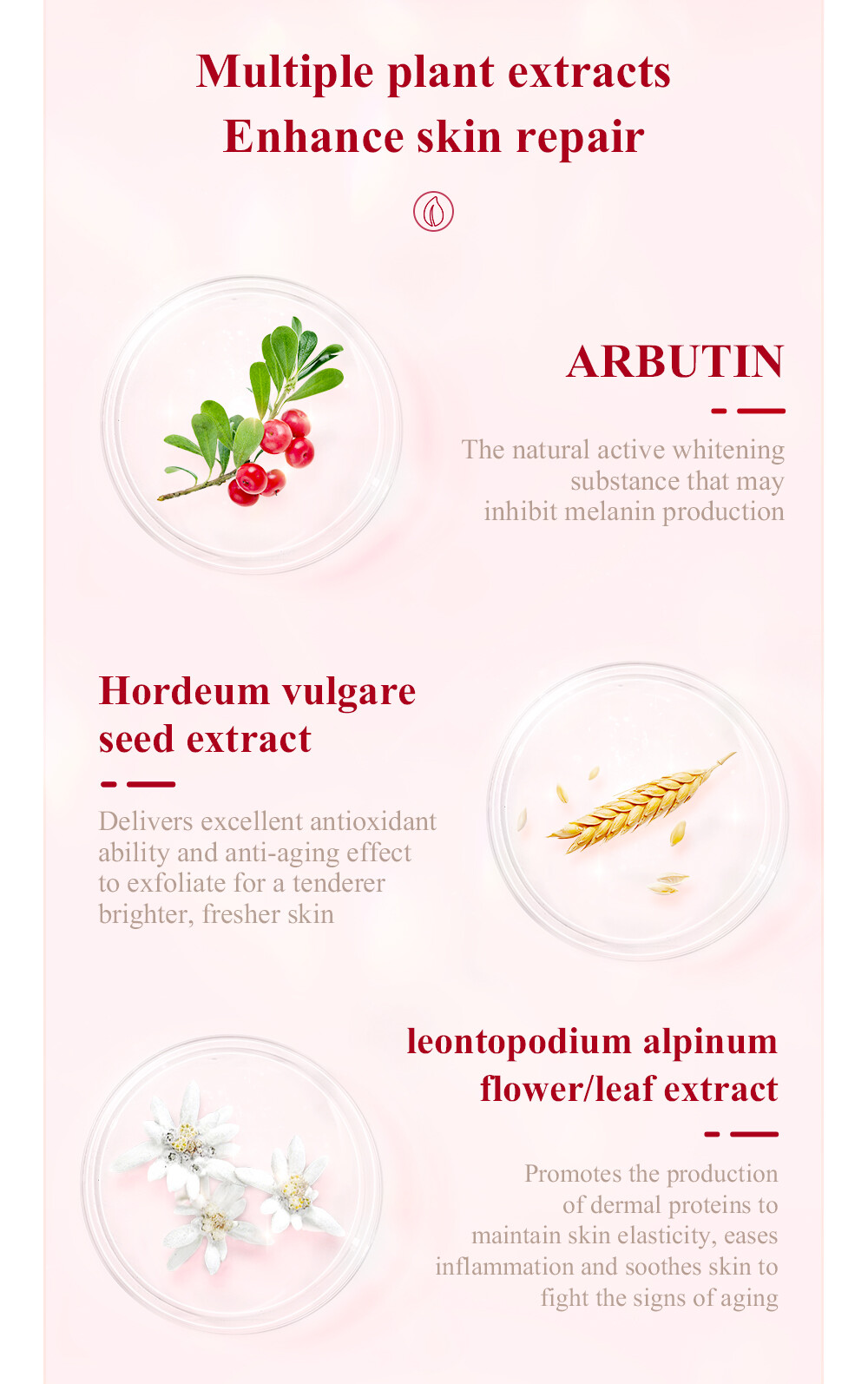 BREYLEE Serum Tinh Chất Lựu Đỏ 30ml Làm Trắng Da, Dưỡng Ẩm, Chống Oxy Hóa,Không Chất Phụ Gia,An Toàn Và Đáng Tin Cậy, Sử Dụng Được Cho Da Nhạy Cảm,for Women Men Beauty Skincare,Red Pomegranate Serum 30ml