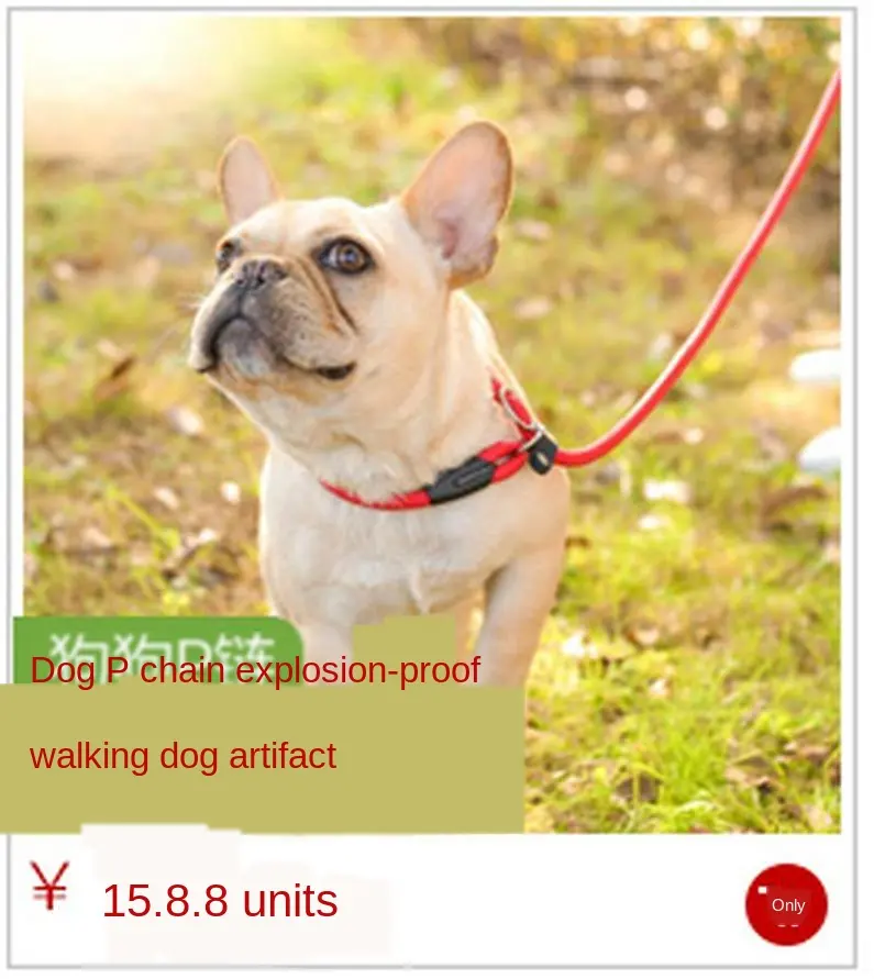 dog walking shoulder bag