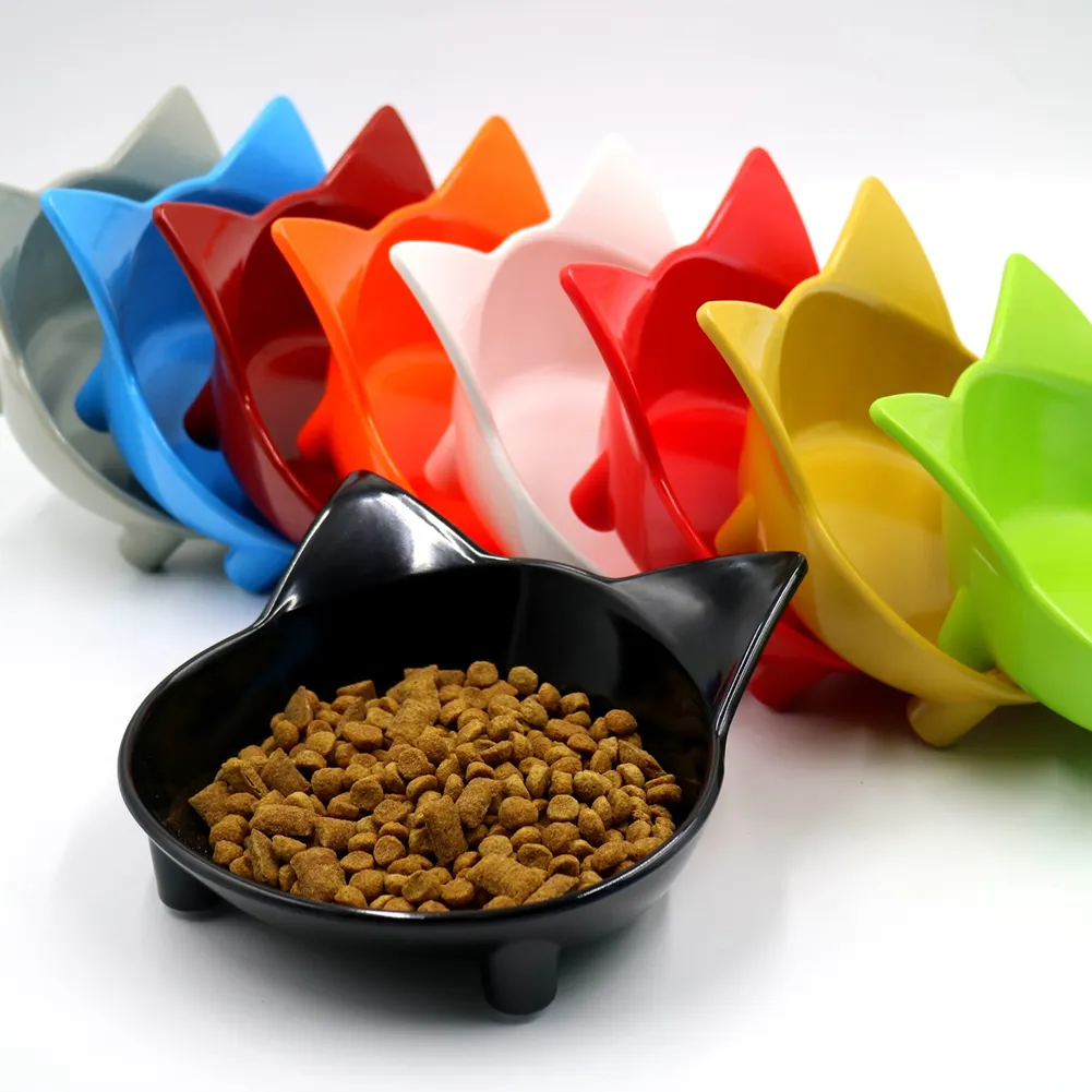 flat cat food dishes
