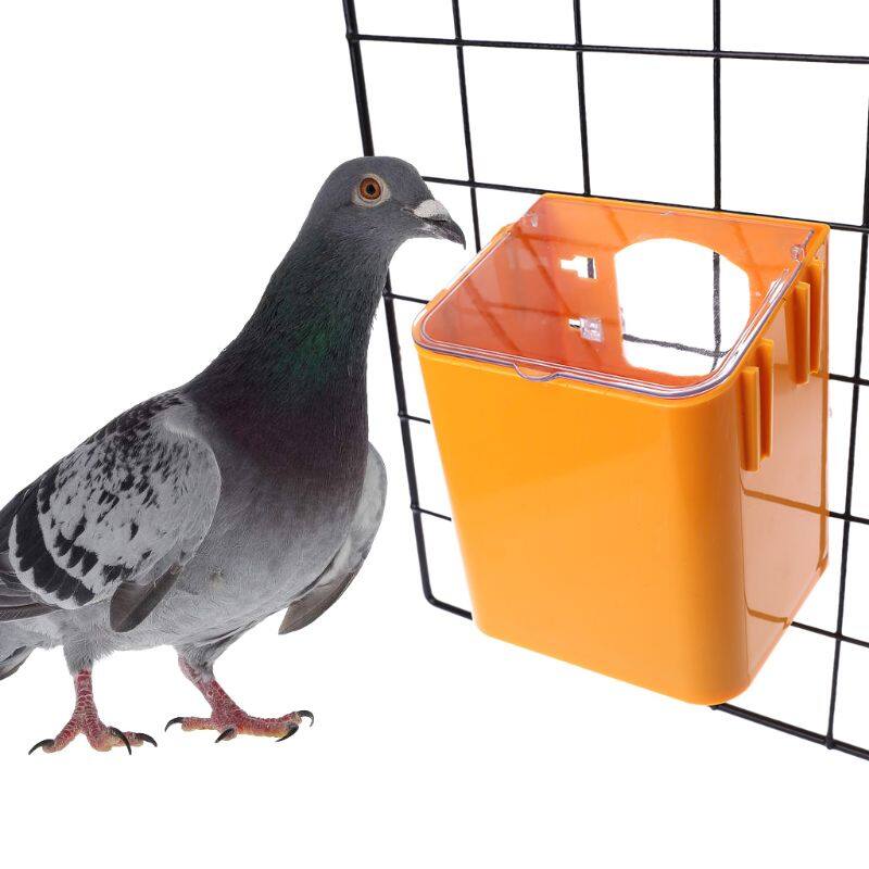 Pigeon Máy Cấp Nước Thức Ăn Bằng Nhựa, Vật Dụng Hộp Đựng Vẹt Cho Chim Thú Cưng Dustptoof 10