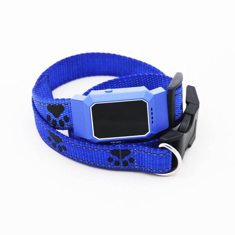 dog collar locator