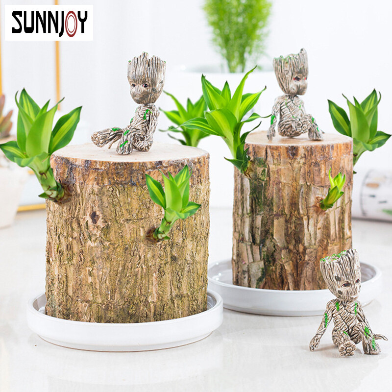 WDXUN Brazil Wood Hydroponic Plants Groot Lucky Wood Potted Tree Stump Indoor Desktop Clean Air Plants Mini Brazilian Wood Potted Plants Magical Sprouting Decoration Tree 