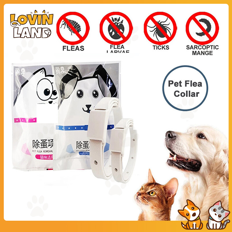 Lovinland Kiểm Soát Ve Rận Bọ Chét Vòng Cổ Cho Chó Cho Chó Mèo Phụ Kiện Mèo Họa Tiết Cún Cưng Vòng Cổ Tự Nhiên Điều Chỉnh Được