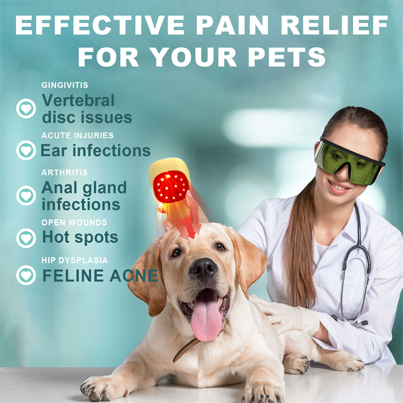 KTS Light Therapy for Dogs and Pets - Cold Laser Therapy device Therapy for Pain Relief, Muscle & Joint Pain from Dog Arthritis, Reduce Inflammation, Heal Wounds, & Clear Skin Infections ราคา 2,716 บาท*ส่งฟรี