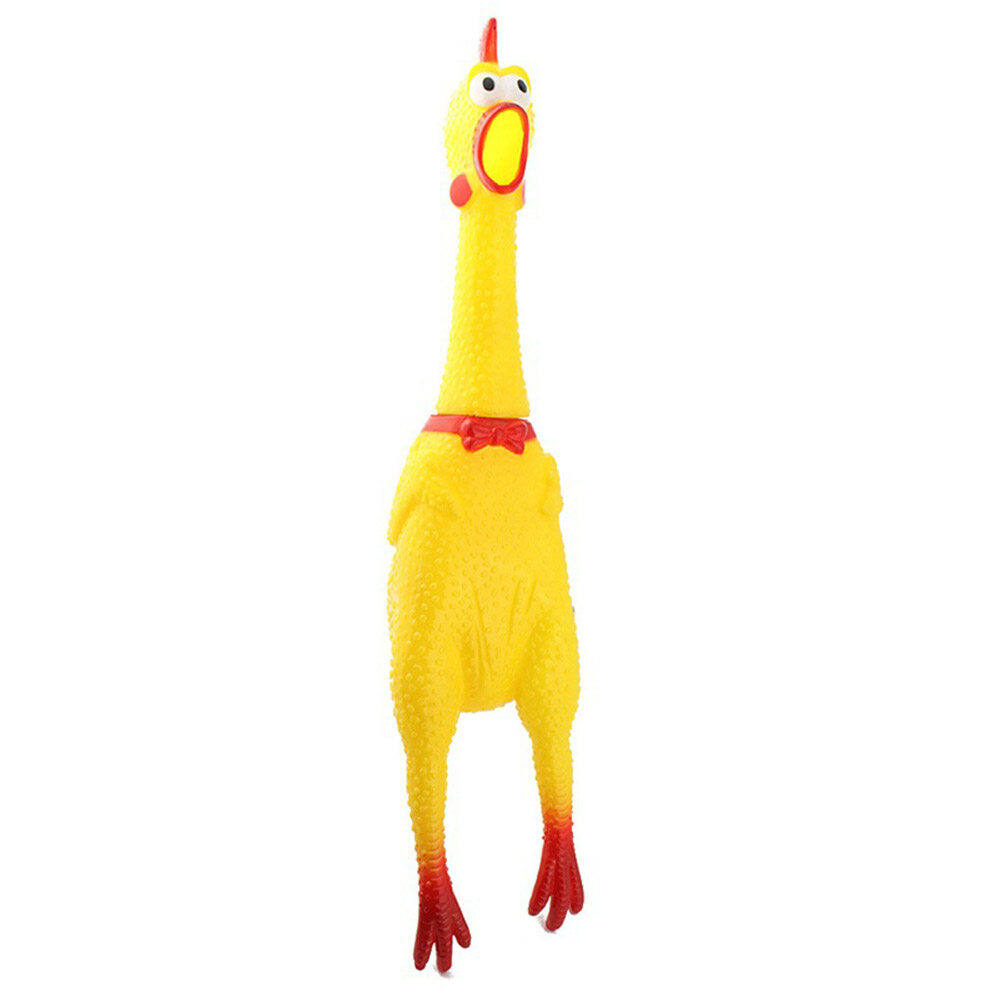 chicken squeaky toy