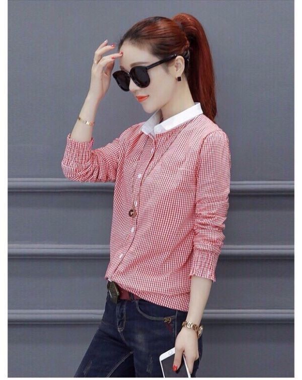 zlJ8iF_simg_d0daf0_800x1200_max.jpg