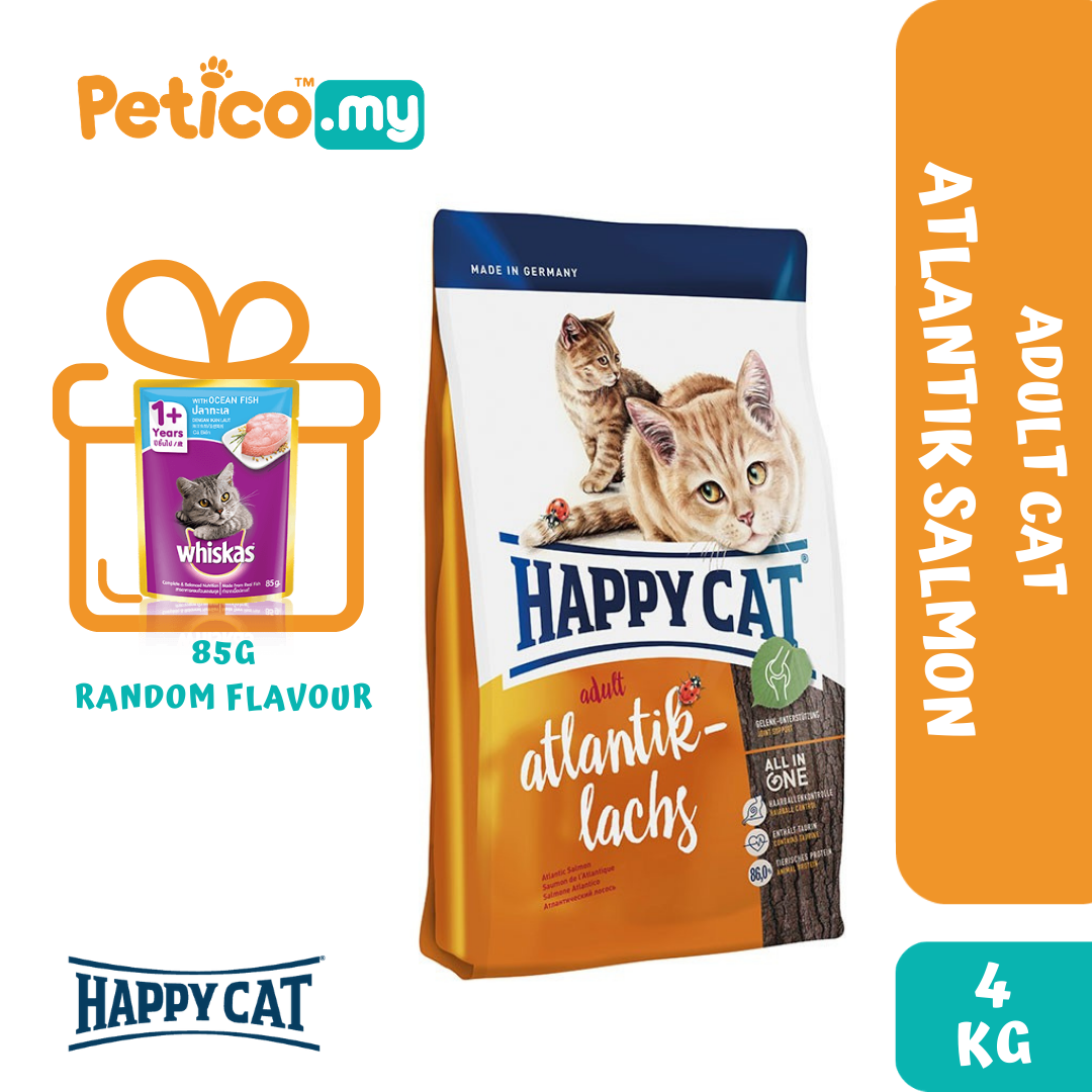 whiskas dry cat food 10kg