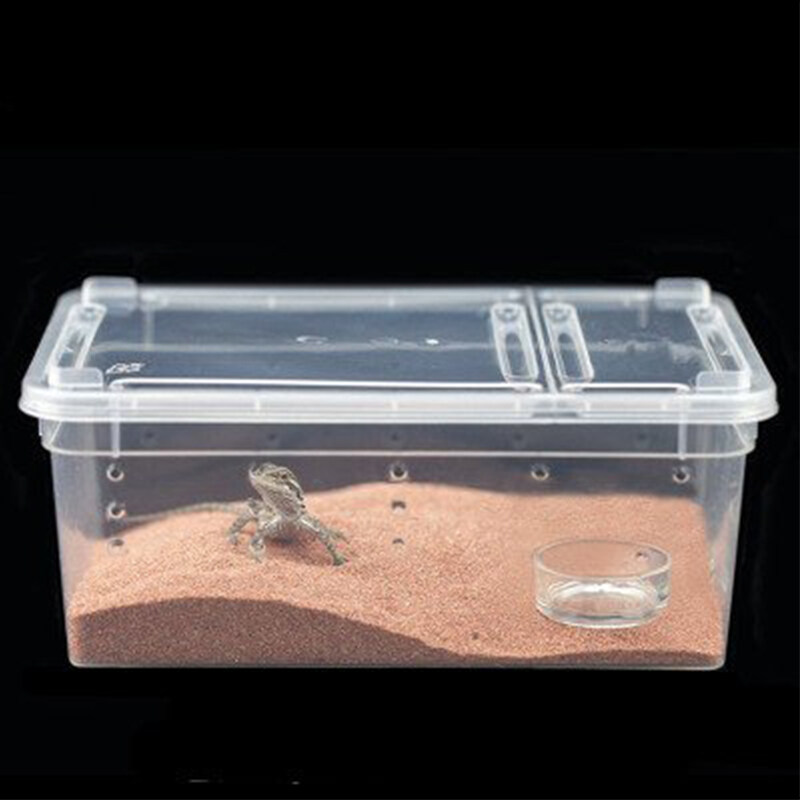 Plastic Fish Aquarium, Portable Aquarium with Lid and Handle, Aquarium  Breeding Box for Small Fish, Snail, Phasm Vivarium and Shrimp -15 x 8 x 13  cm : : Pet Supplies