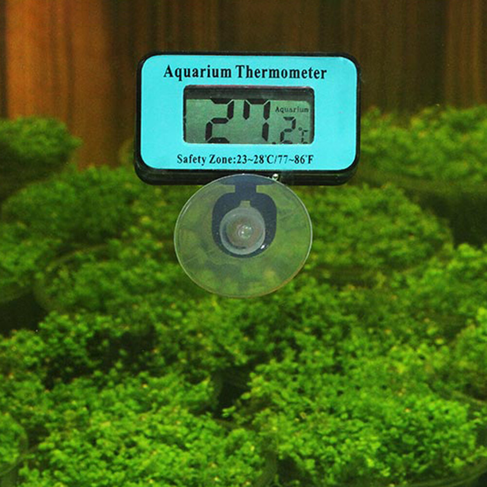 Nhiệt kế đo nhiệt độ nước trong bể cá cảnh