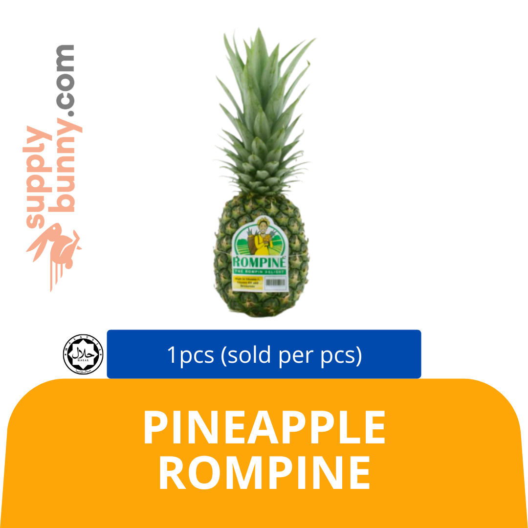 Pineapple Rompine 1pcs (sold per pcs) Nature Farm