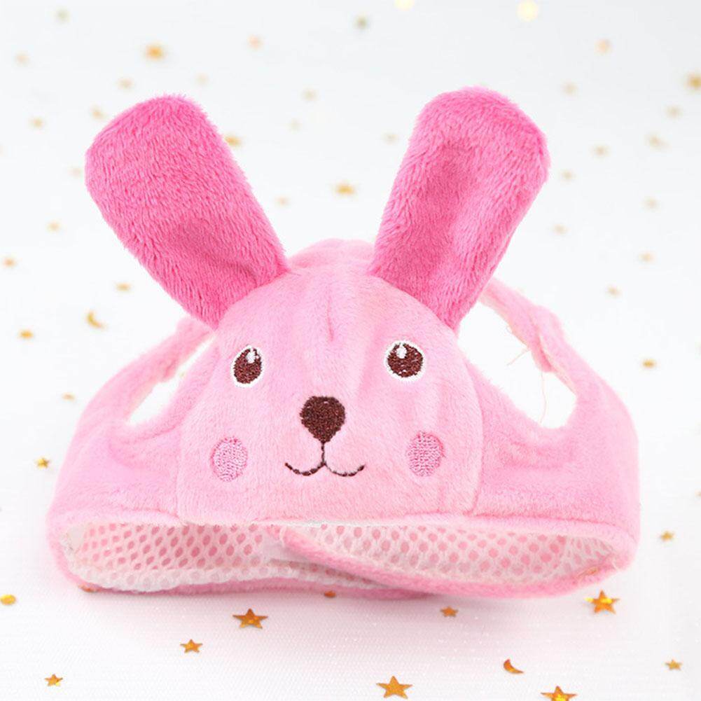 710 Koleksi Gambar Kartun Hewan Peliharaan HD Terbaik