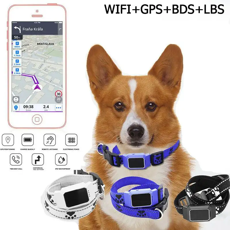 dog collar locator