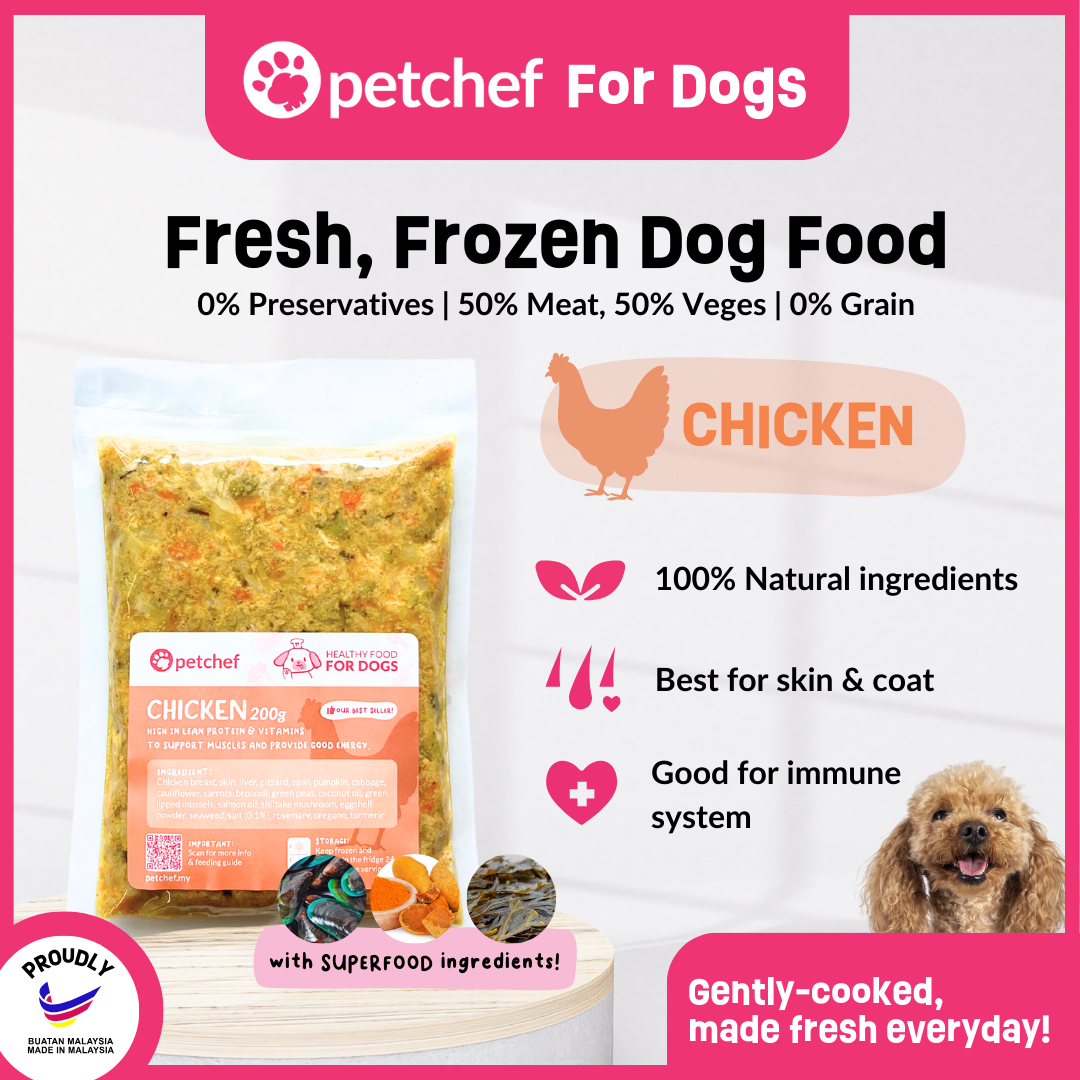 Buy Wainwright Dog Food Online at a Better Price Lazada Malaysia