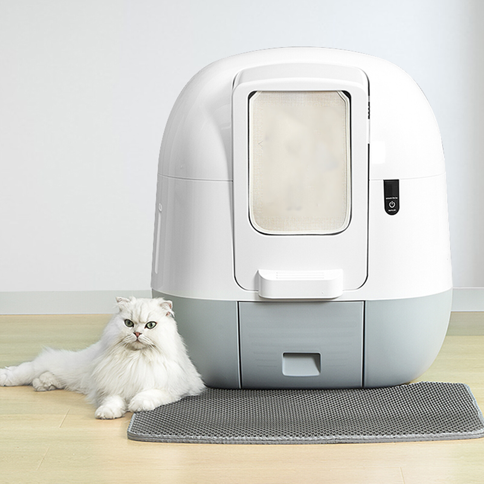 automatic cleaning of feces cat
