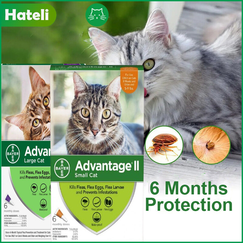 Advantage II mèo bọ chét trứng ấu trùng điều trị & phòng ngừa 6 tháng cung cấp 6 liều/hộp