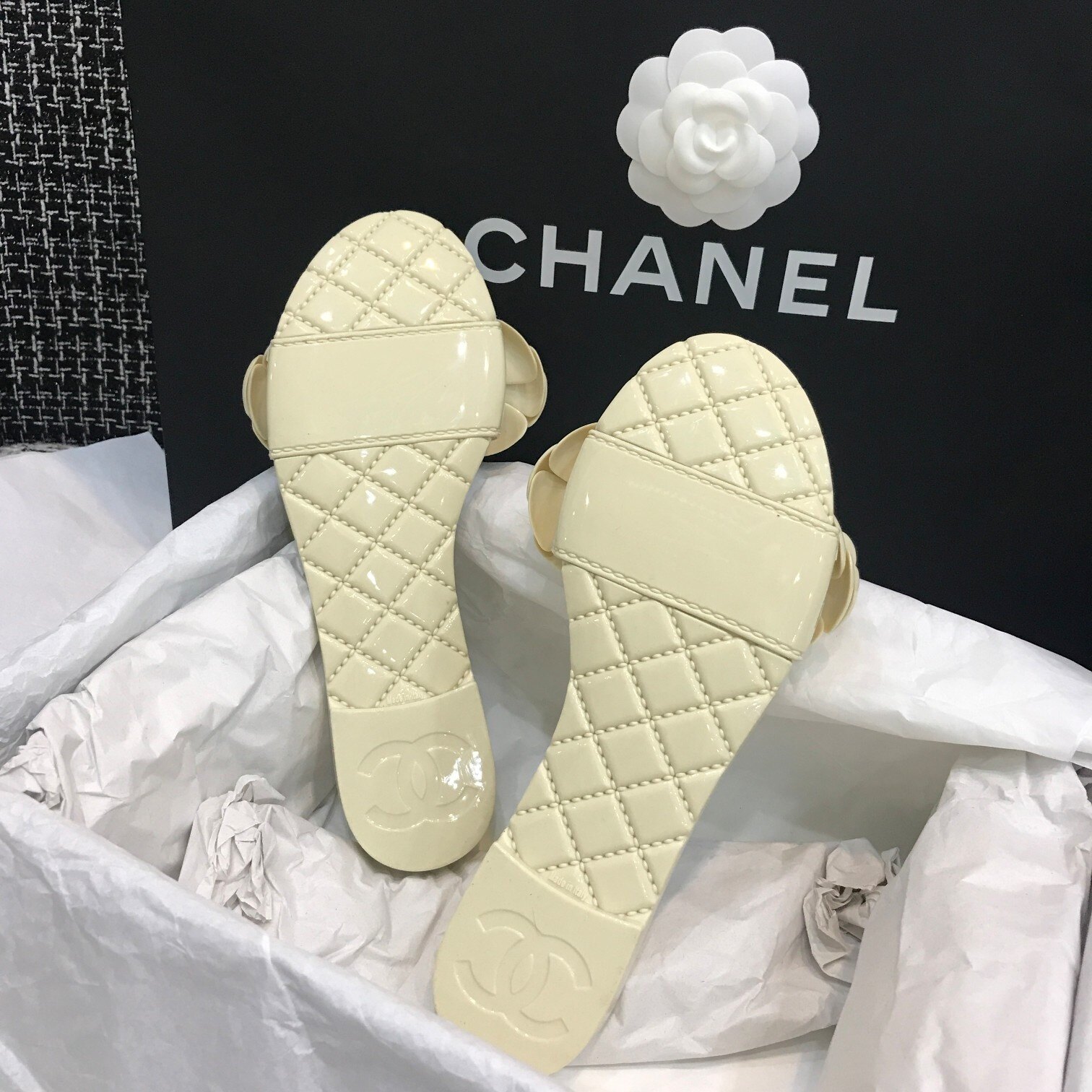 sapatilhas com rodinhas seaside