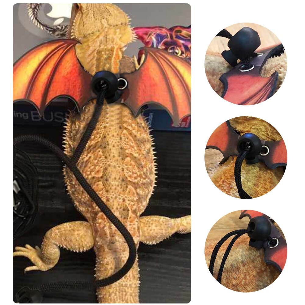 Bearded dragon 2024 leash with wings