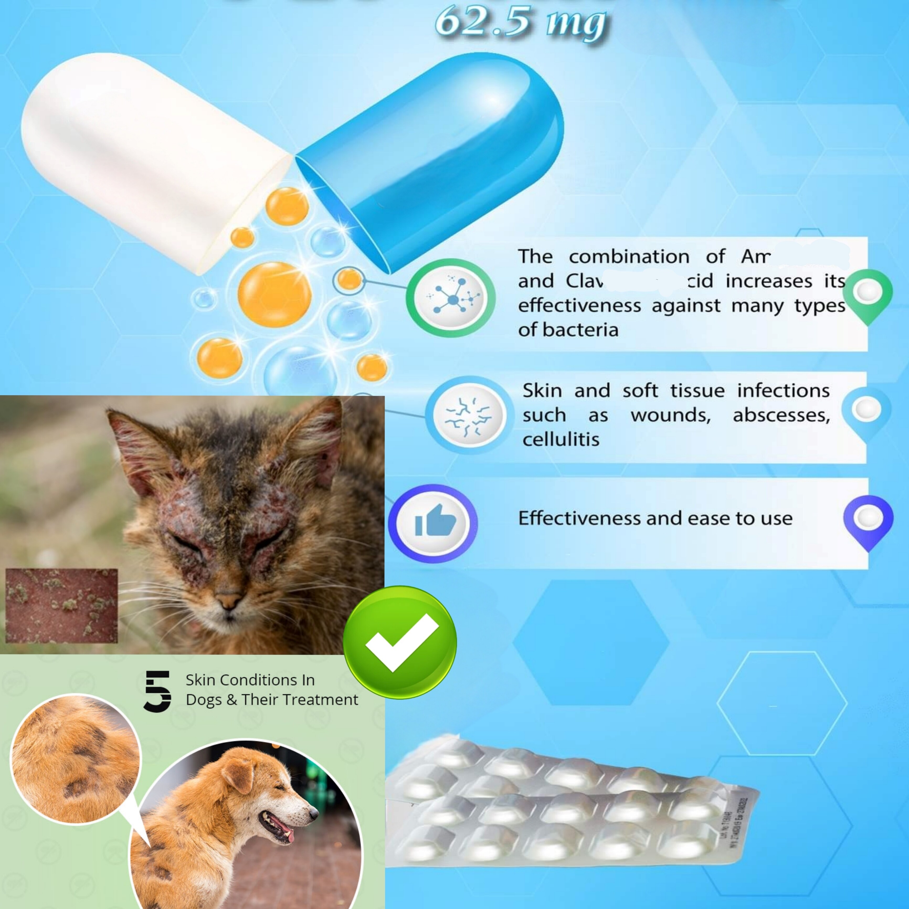 Buy Cat Skin Online at a Better Price Lazada Malaysia