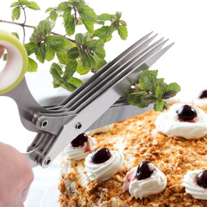 5 blade scissor with cover