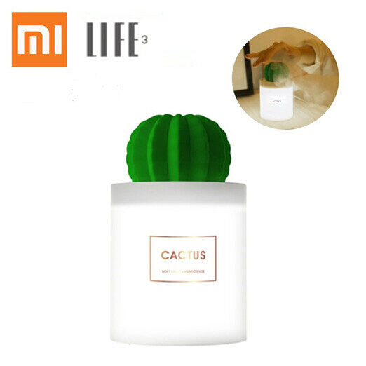 Shop Cactus Humidifier at Better Price Online | Lazada Singapore