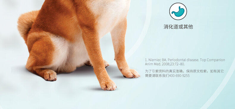Dụng Cụ Mài Răng Cho Chó Chó Nhỏ Virbac Pháp Vick Làm Sạch Răng Miệng Đồ Ăn Nhẹ 4
