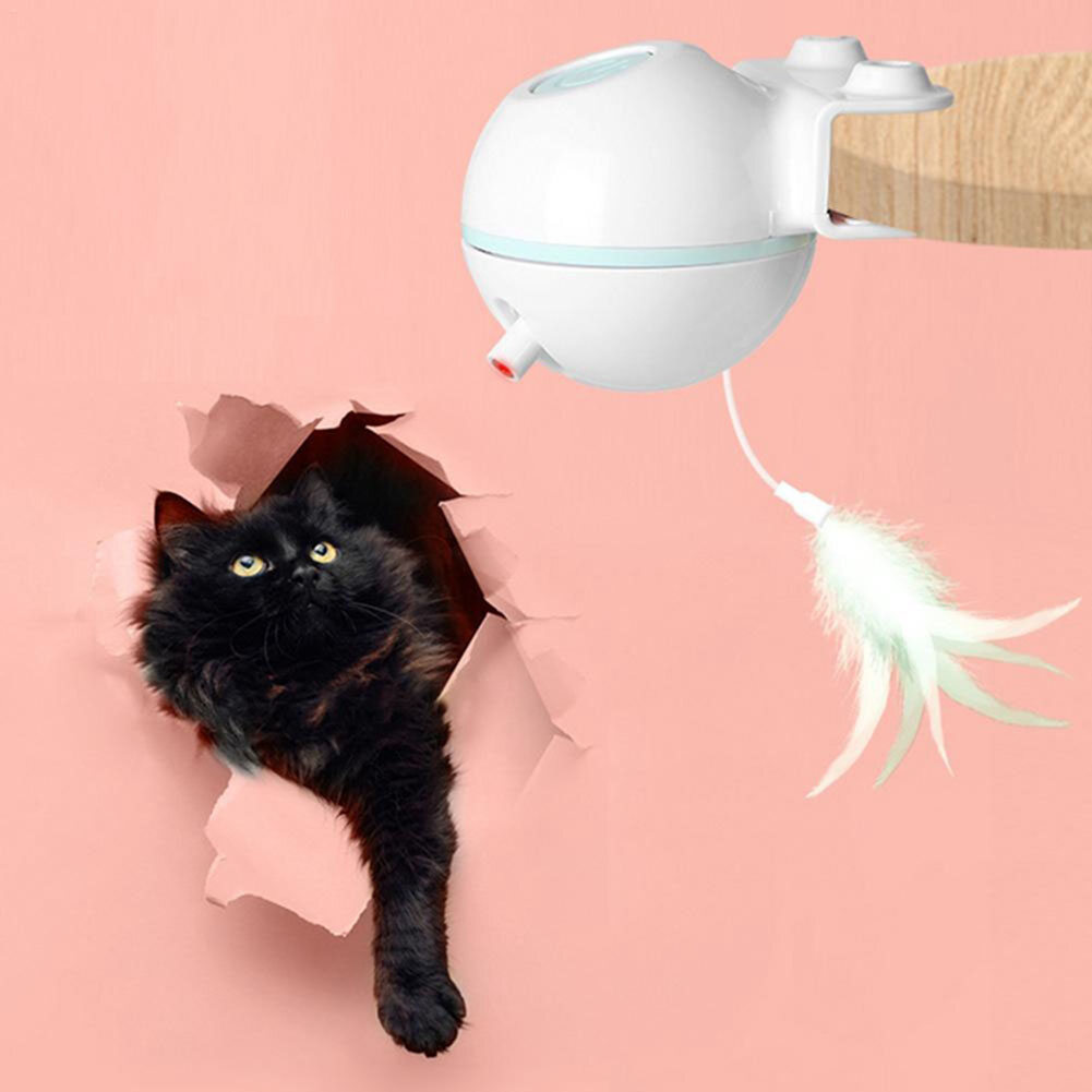 motion ball cat toy