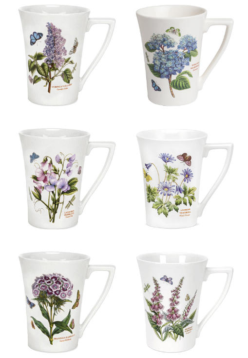 Portmeirion Vườn thực vật Mandarin Mug