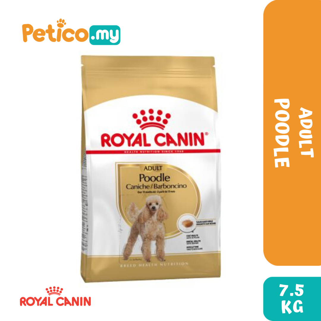 Poodle puppy royal clearance canin