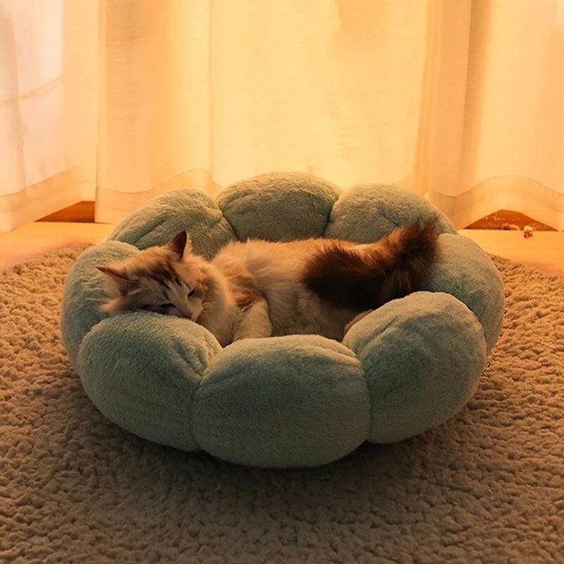 aov giường cho mèo hình hoa giường cho chó siêu mềm thảm cho mèo thú cưng 5