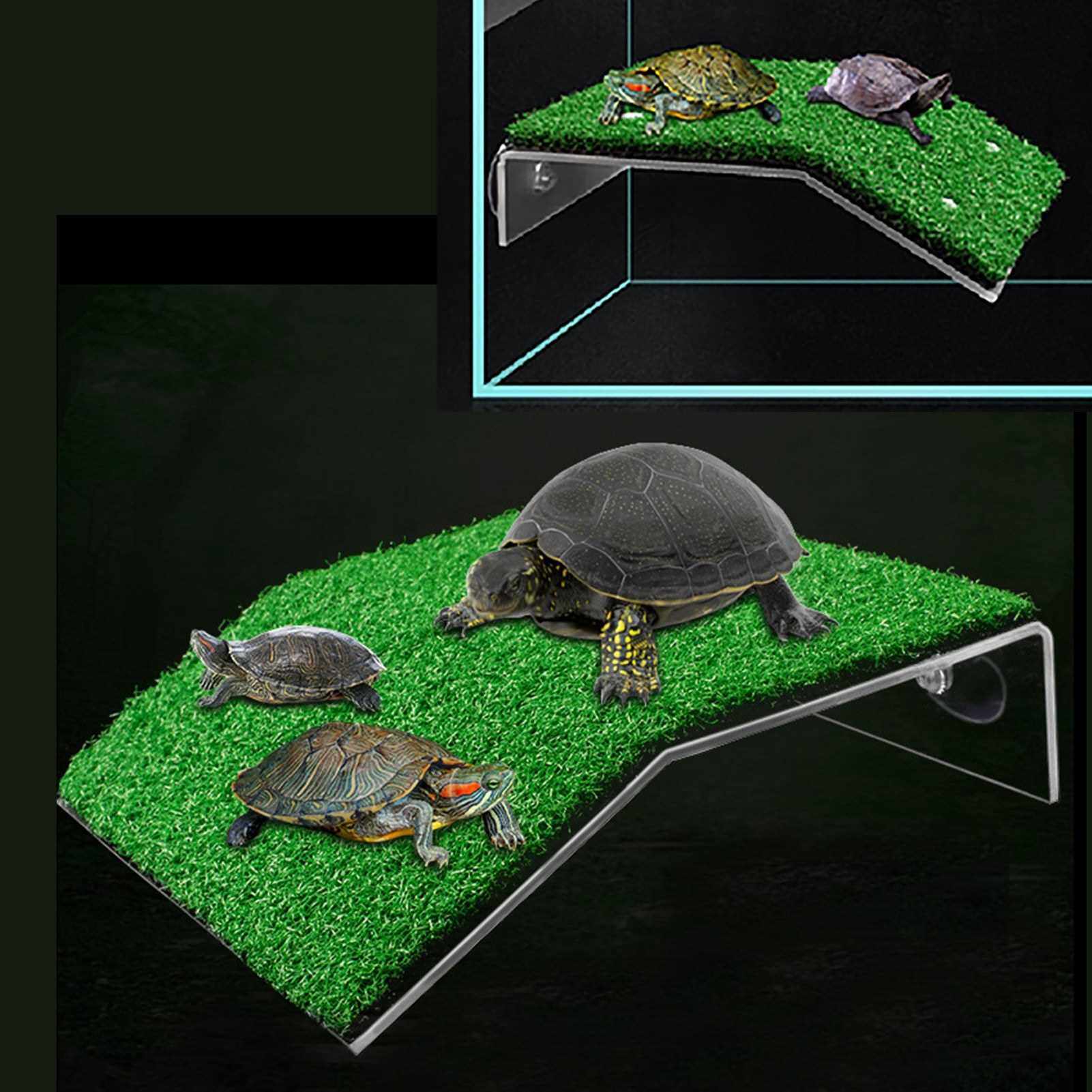 Turtle Ramp Turtle Basking Platform Tortoise Ramp Reptile Ladder ...