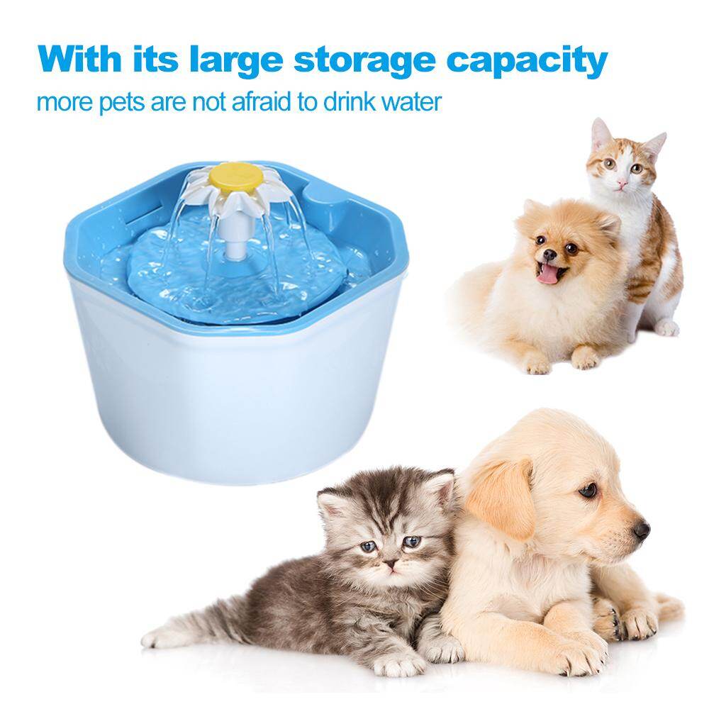pet water fountain dispenser