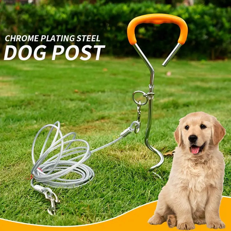 outdoor dog lead