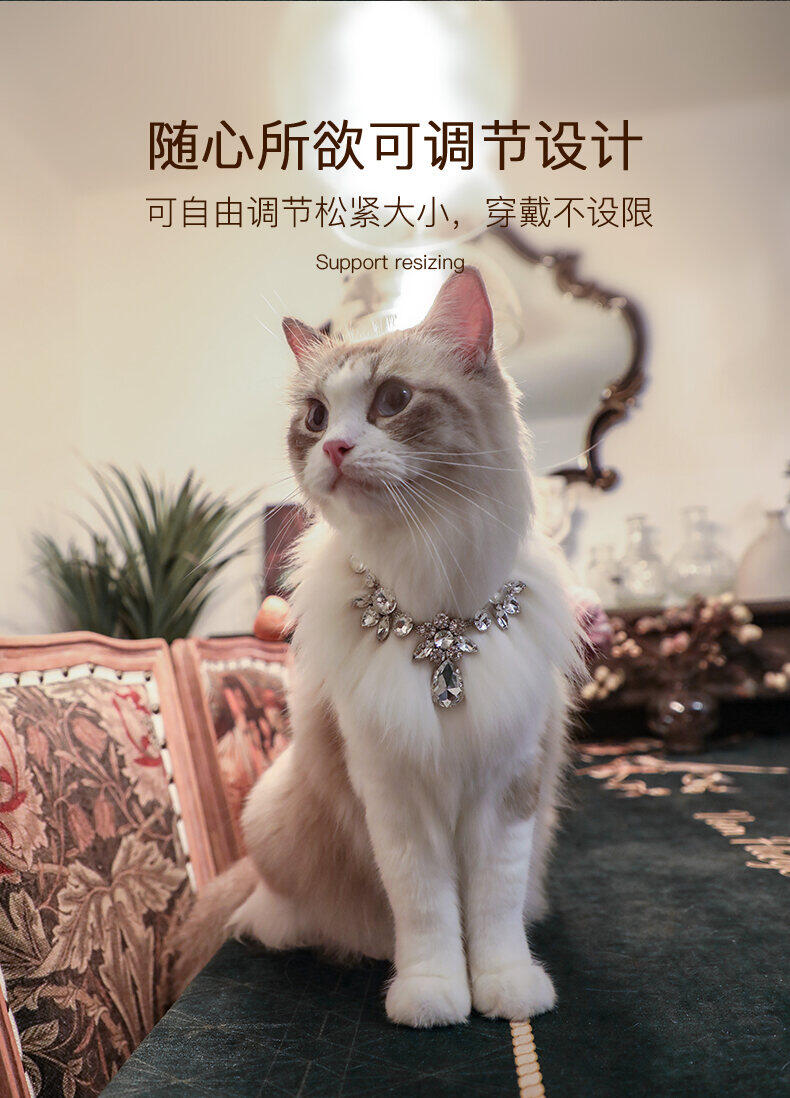 vòng cổ trang sức cho mèo arkika vòng cổ ngọc trai kim cương trang sức 5