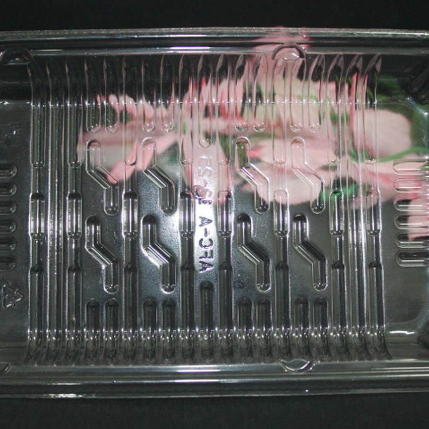 Gambar 200pcs Disposable Food Base APET VF17 for Dry Food, Vegetable, Fruits, Meat, Seafoods (Clear)