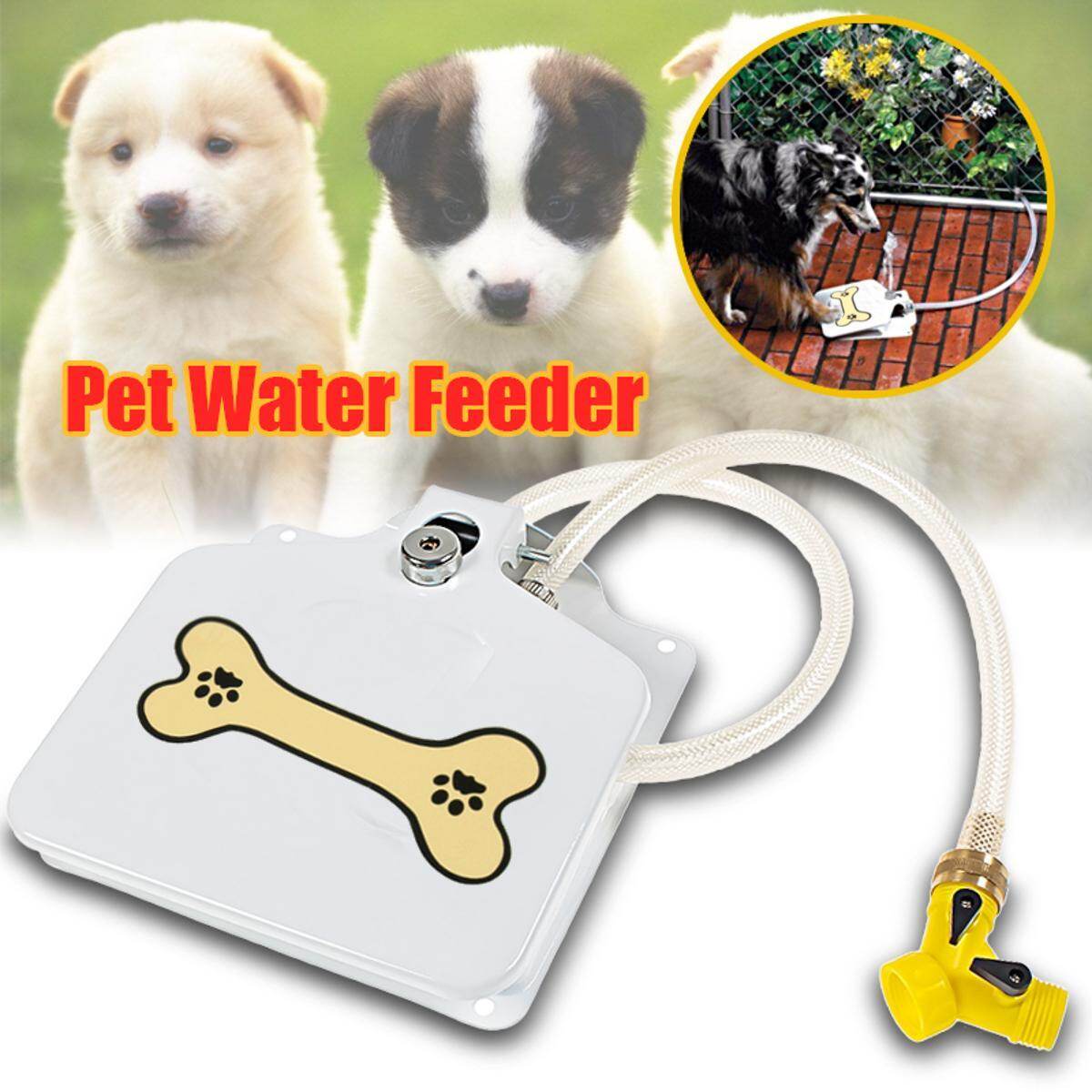 paw activated water fountain