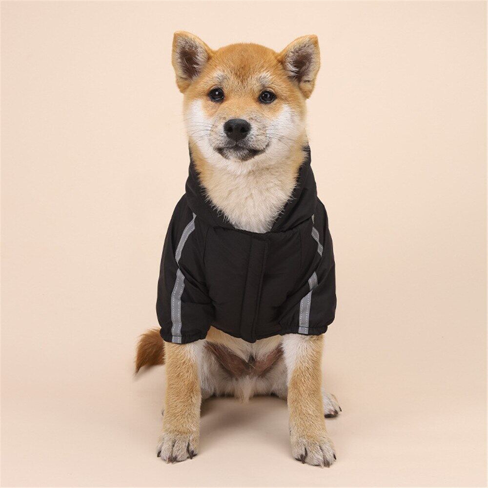 oimg quần áo cho chó mùa thu đông áo khoác chó nhỏ dày bằng lông cừu shiba 4